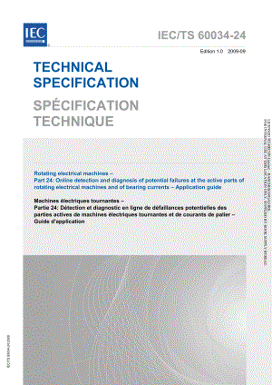 IEC_TS_60034-24-2009.pdf