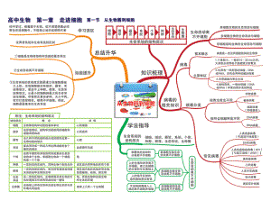 高中生物-思维导图.pdf