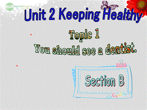重庆市涪陵区中峰初级中学八年级英语上册 Unit 2 Keeping Healthy Topic 1 You should see a dentist.Section B课件 （新版）仁爱版.ppt