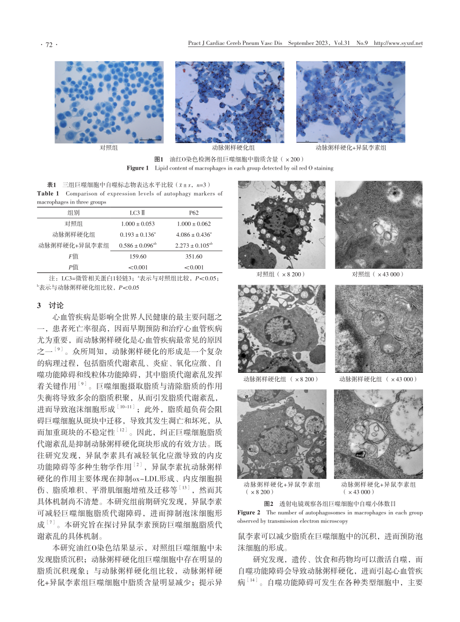 异鼠李素通过上调自噬水平预防巨噬细胞脂质代谢紊乱.pdf_第3页